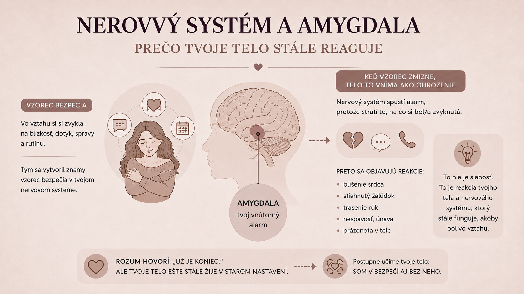 Nervový systém a amygdala